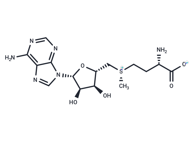 Ademetionine, (S)-