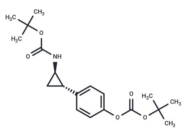 CBB3001