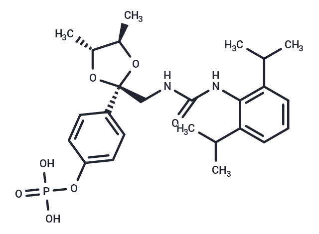 FCE 28654