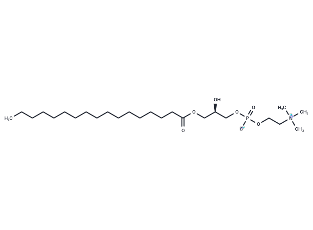 1-Heptadecanoyl-2-hydroxy-sn-glycero-3-phosphocholine