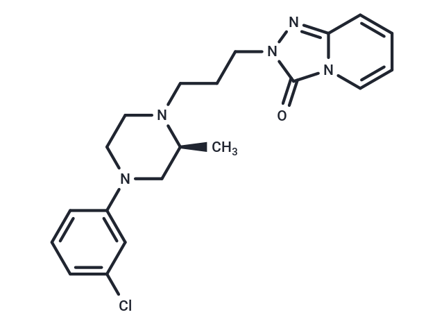 α1 adrenoceptor-MO-1