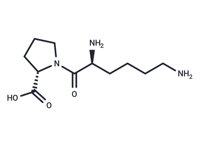 Lysylproline