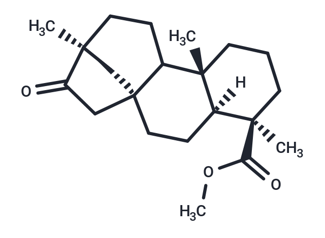 Compound N062-0007