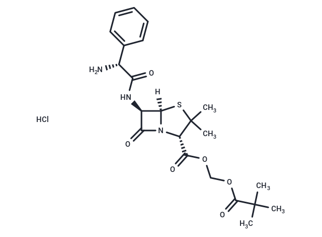 Pivampicillin Hydrochloride