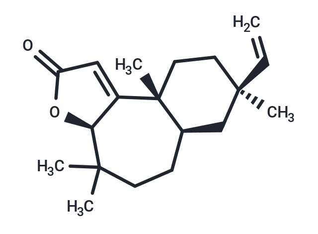 Fischeria A