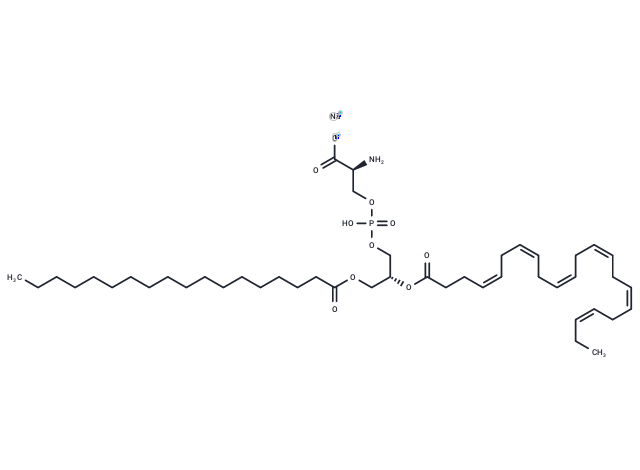 18:0,22:6 PS sodium