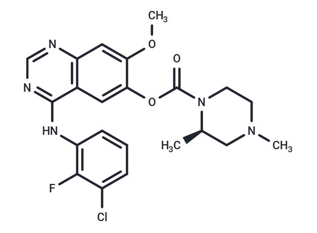 Zorifertinib