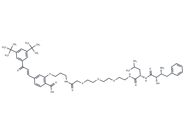 PROTAC RAR Degrader-1