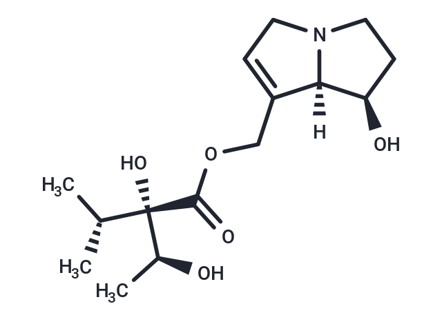 Lycopsamine