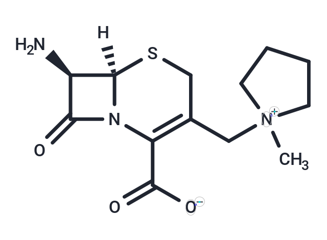 Cefepime related compound E