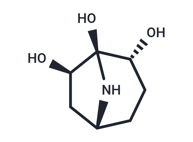 Calystegine A6