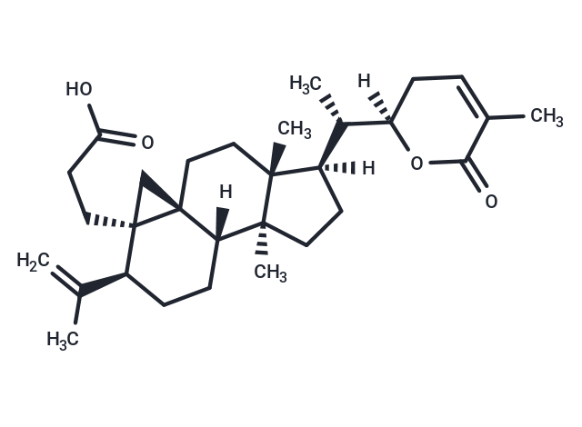 Schisanlactone E