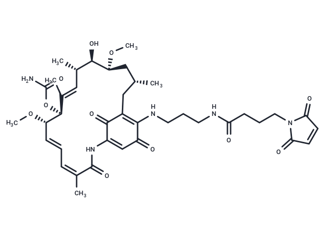 17-GMB-APA-GA