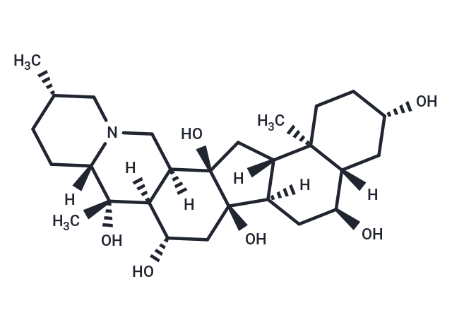 Pingpeimine B