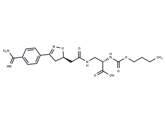 XV 459