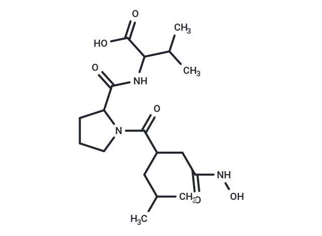 Propioxatin B