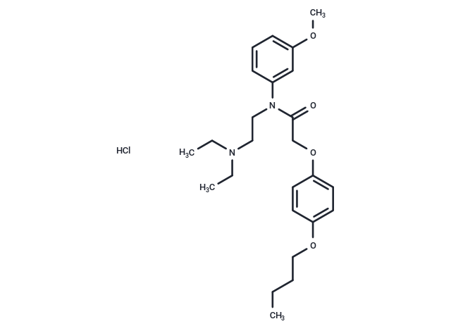 Acetamide, N-(m-anisyl)-2-(p-butoxyphenoxy)-N-(2-(diethylamino)ethyl)-, hydrochloride