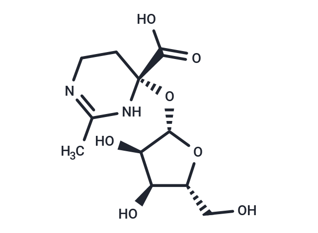 Rhizolotine