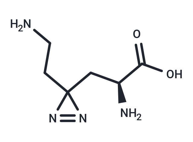 Photo-lysine