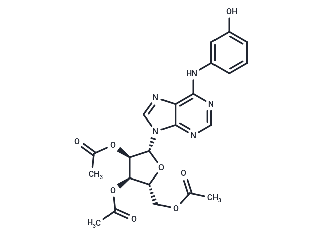 IMM-H007