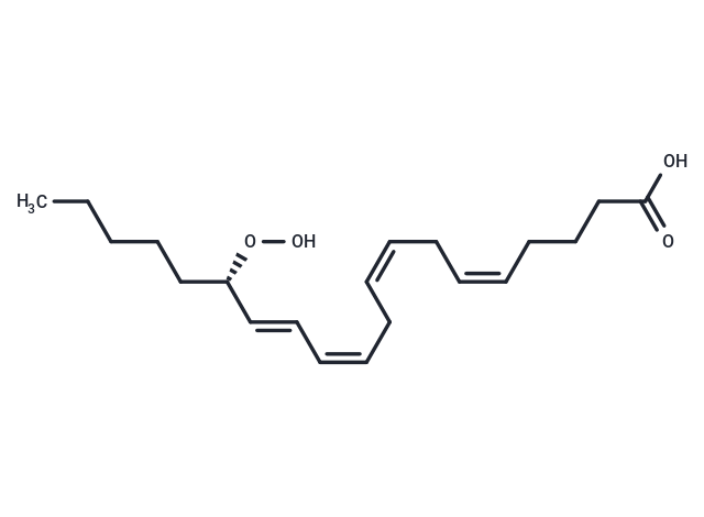 15(S)-HpETE