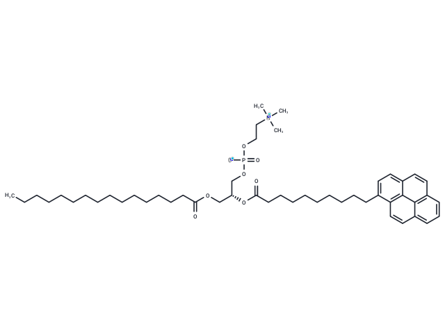 10-Pyrene-PC