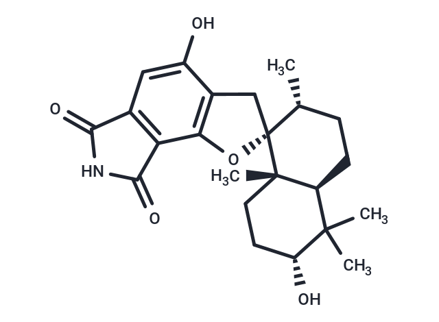 Chartarlactam A