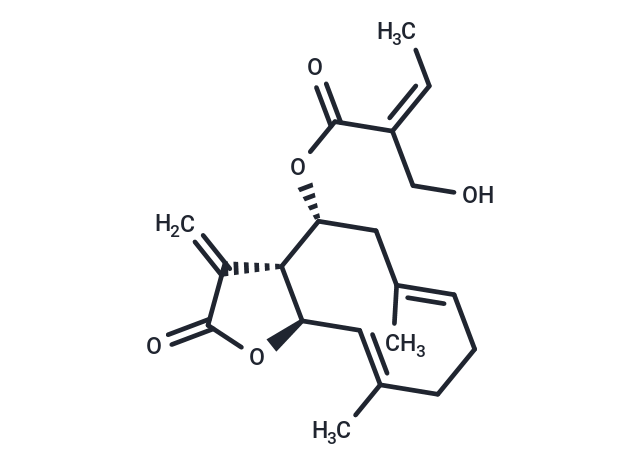 Eupaglehnin C