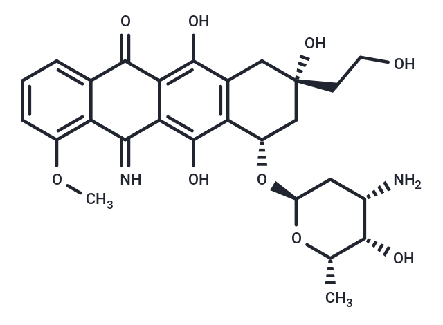 Camsirubicin