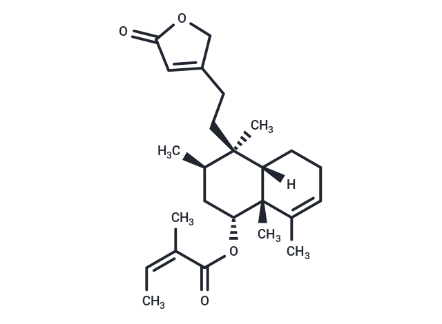 Solidagolactone II