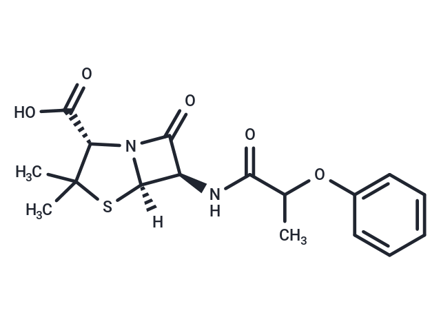 Pheneticillin