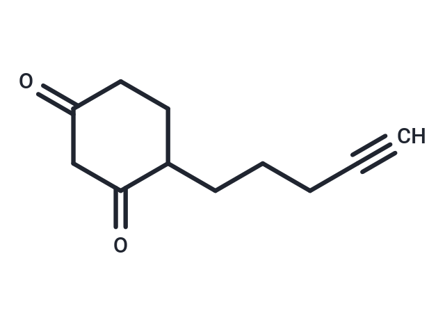 DYn-2