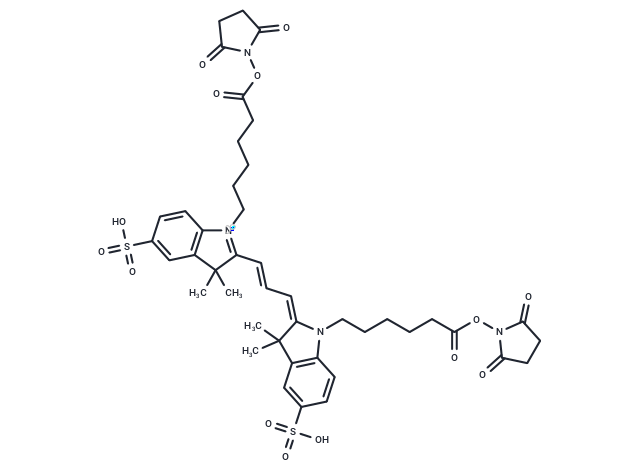 Cy 3 Non-Sulfonated