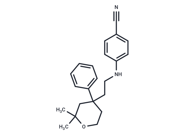 ICMT-IN-23