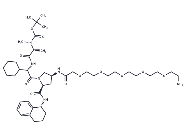 A 410099.1 amide-PEG5-amine