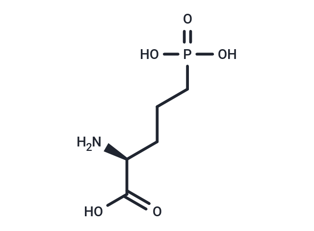 L-AP5