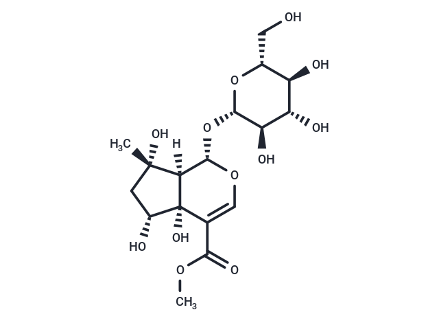 6beta-Hydroxyipolamiide