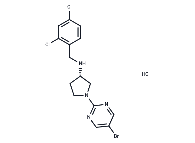 LY 2389575 hydrochloride