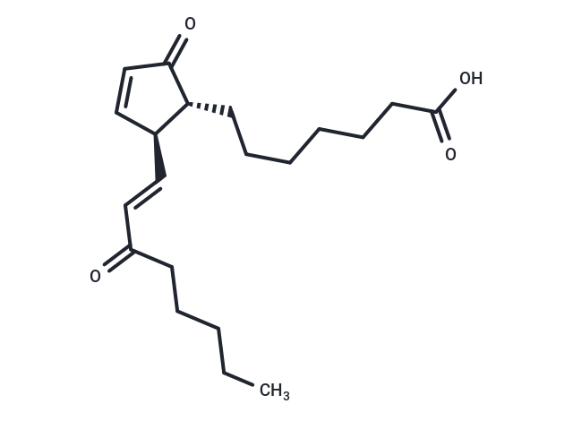 15-keto Prostaglandin A1