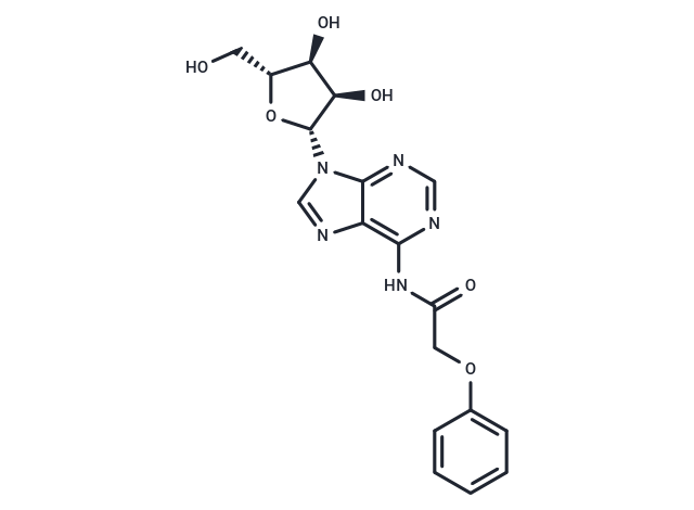 N6-Phenoxyacetyladenosine