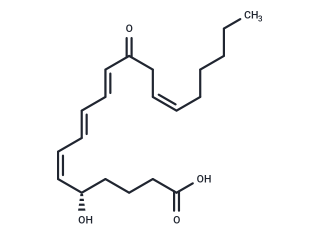 12-oxo Leukotriene B4