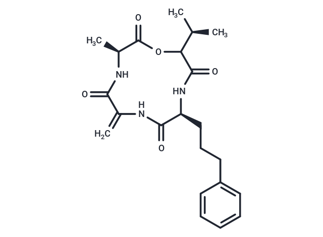 AM Toxin II