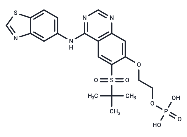 GSK2983559 free acid