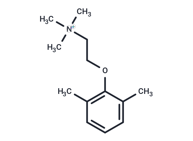 Xylocholine