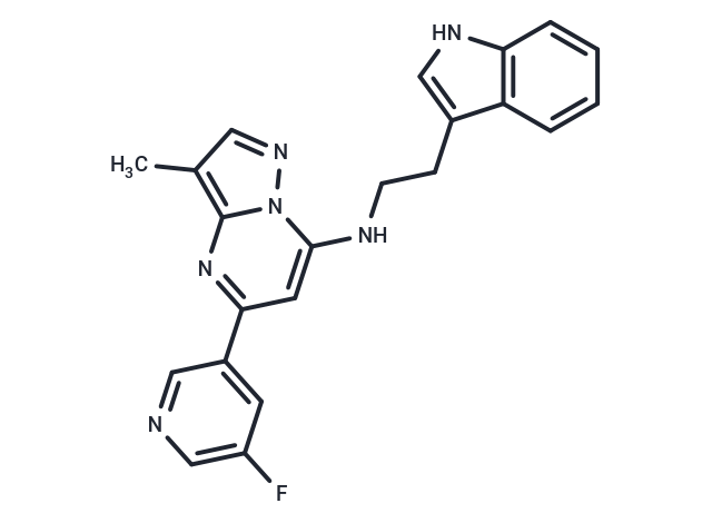 KYN-101