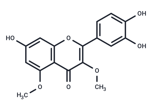 Caryatin