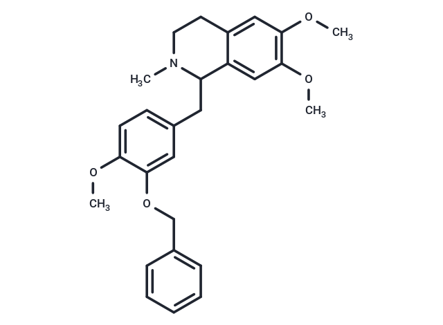 OY-101