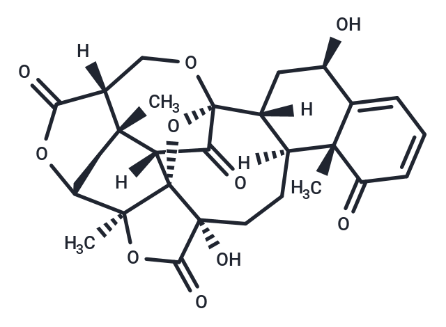 Physalin G