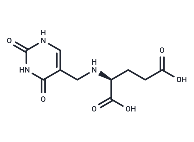 alpha-Glutamylthymine