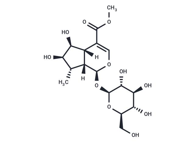 5-Deoxypulchelloside I